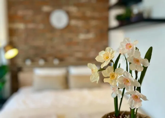 Adm Cozy In Center - Netflix, Coffee, Ac *